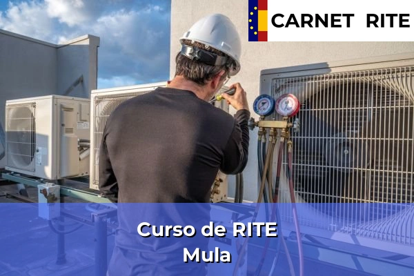 Curso de RITE en Mula